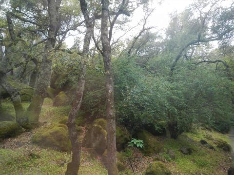 3929 Rustic Rd, Cameron Park, CA 95682 photo 23