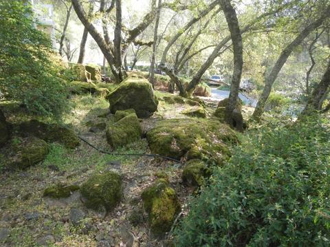3929 Rustic Rd, Cameron Park, CA 95682 photo 2