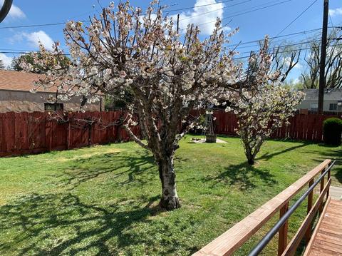1328 Del Monte Ave, Modesto, CA 95350 photo 21