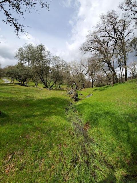 1265 Monroe Ct, Placerville, CA 95667 photo 76