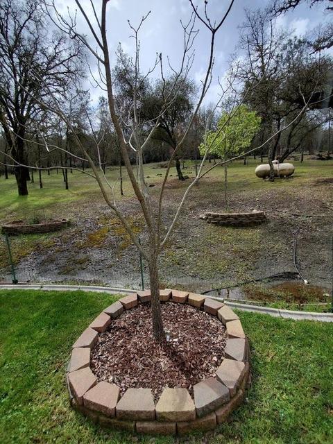 1265 Monroe Ct, Placerville, CA 95667 photo 54
