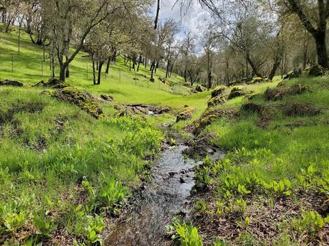 1265 Monroe Ct, Placerville, CA 95667 photo 71