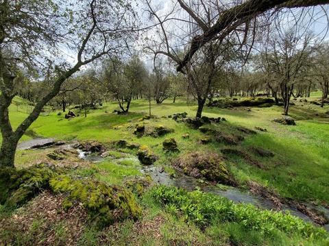 1265 Monroe Ct, Placerville, CA 95667 photo 73