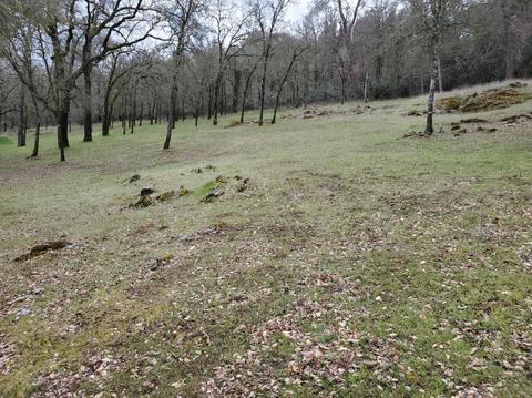 1265 Monroe Ct, Placerville, CA 95667 photo 49