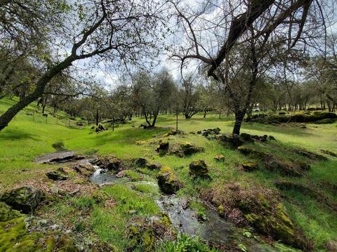 1265 Monroe Ct, Placerville, CA 95667 photo 72