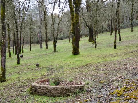 1265 Monroe Ct, Placerville, CA 95667 photo 46
