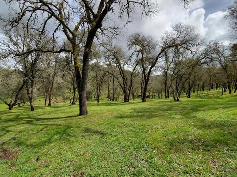 1265 Monroe Ct, Placerville, CA 95667 photo 82