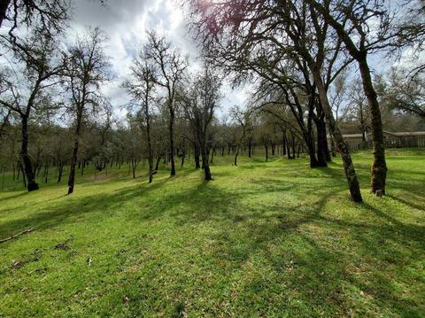 1265 Monroe Ct, Placerville, CA 95667 photo 81