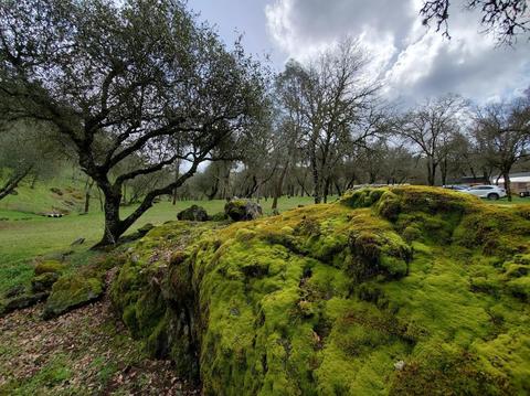 1265 Monroe Ct, Placerville, CA 95667 photo 68