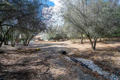 351 Cuckoo Ct, Applegate, CA 95703 photo 44