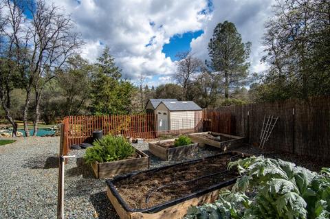 351 Cuckoo Ct, Applegate, CA 95703 photo 35