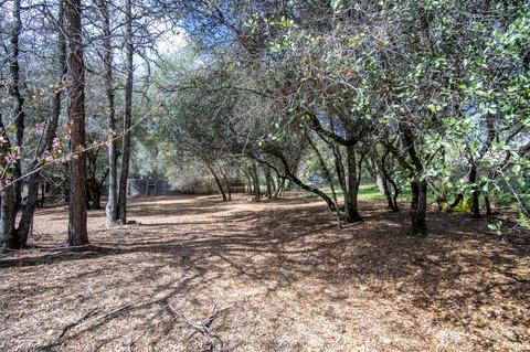 351 Cuckoo Ct, Applegate, CA 95703 photo 45