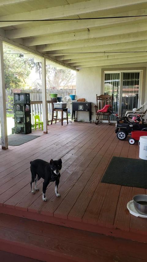 3336 Garfield, Carmichael, CA 95608 photo 14
