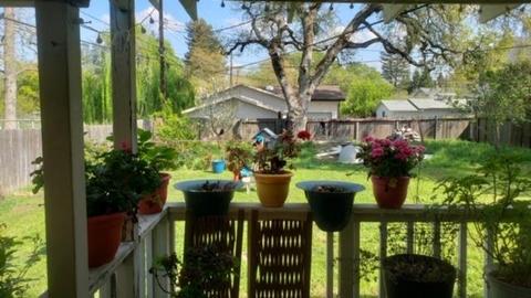 3336 Garfield, Carmichael, CA 95608 photo 11