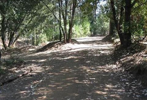 14773 Diamond View Dr, Pioneer, CA 95666 photo 3