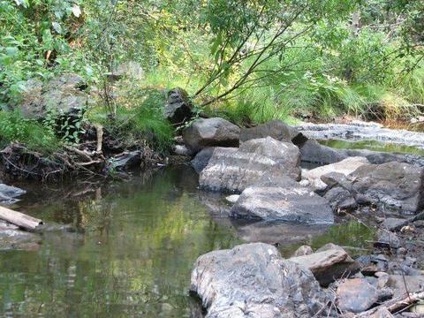 14773 Diamond View Dr, Pioneer, CA 95666 photo 2