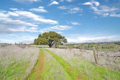 14110 Ridge Rd, Sutter Creek, CA 95685 photo 36