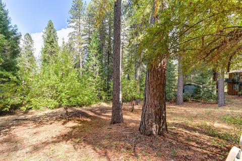 322 Sunnyside Dr, Colfax, CA 95713 photo 22