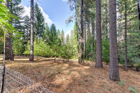 322 Sunnyside Dr, Colfax, CA 95713 photo 21