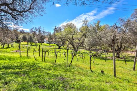 3461 Myown Rd, Placerville, CA 95667 photo 32