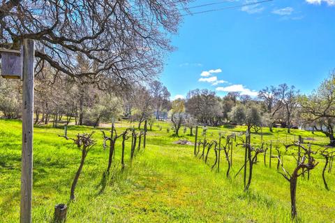 3461 Myown Rd, Placerville, CA 95667 photo 30