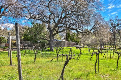 3461 Myown Rd, Placerville, CA 95667 photo 31