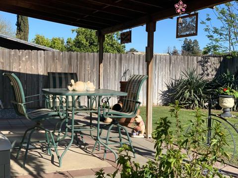 7766 Young Ct, Hilmar, CA 95324 photo 50