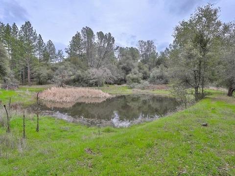 3816 Sand Rdg, Placerville, CA 95667 photo 46