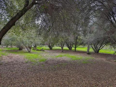 3816 Sand Rdg, Placerville, CA 95667 photo 47