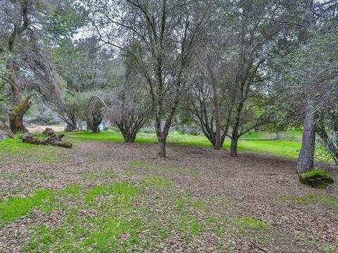 3816 Sand Rdg, Placerville, CA 95667 photo 49