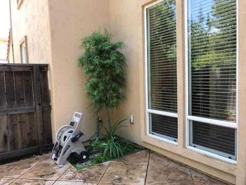 2043 Catalina Dr, Davis, CA 95616 photo 19