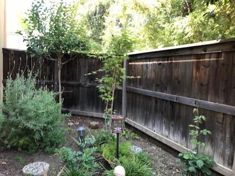 2043 Catalina Dr, Davis, CA 95616 photo 22