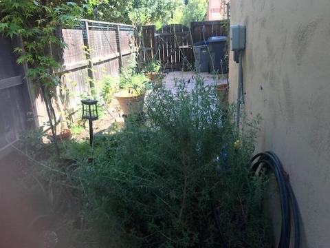2043 Catalina Dr, Davis, CA 95616 photo 8