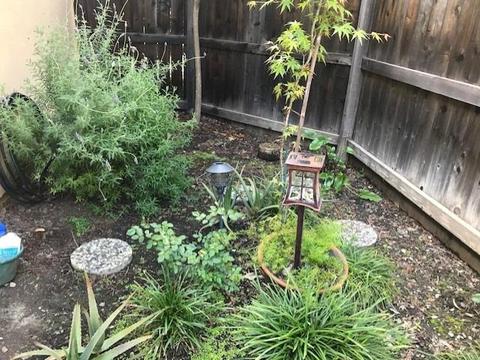 2043 Catalina Dr, Davis, CA 95616 photo 9