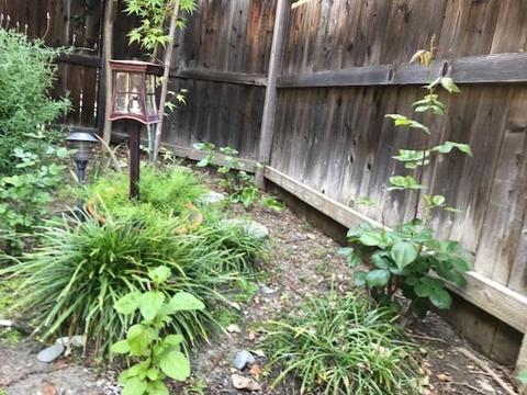 2043 Catalina Dr, Davis, CA 95616 photo 23