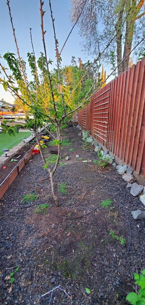 3624 Lasick Ct, Antelope, CA 95843 photo 47