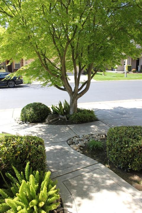 1801 St Mayeul Dr, Modesto, CA 95356 photo 33