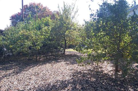 5265 Woodvale Way, Carmichael, CA 95608 photo 42