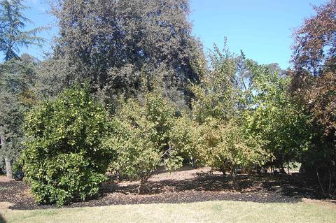 5265 Woodvale Way, Carmichael, CA 95608 photo 43