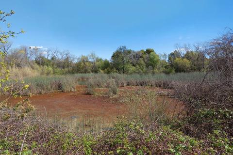 696 Silo St, Folsom, CA 95630 photo 24