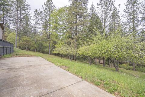 35 Pinecrest Dr, Applegate, CA 95703 photo 38