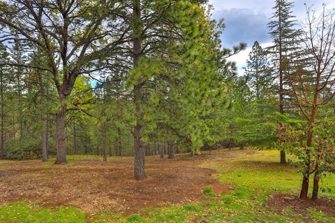 4685 Cabernet Way, Placerville, CA 95667 photo 38