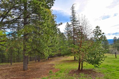 4685 Cabernet Way, Placerville, CA 95667 photo 35