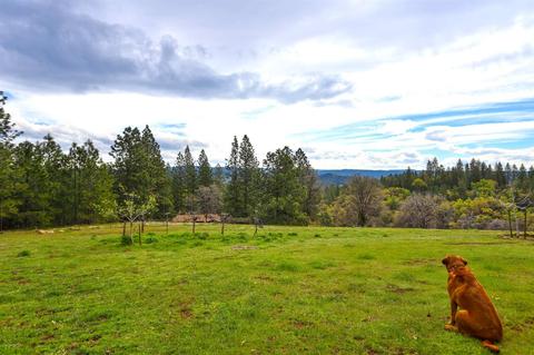 4685 Cabernet Way, Placerville, CA 95667 photo 36