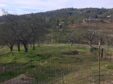 1179 Cheyenne Rd, Copperopolis, CA 95228 photo 9