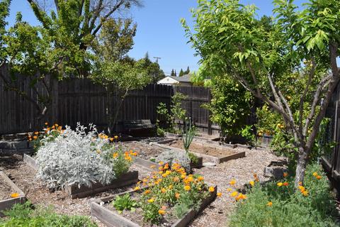 5463 Millburn St, Carmichael, CA 95608 photo 27