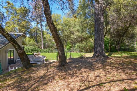 940 Black Rice Rd, Placerville, CA 95667 photo 42