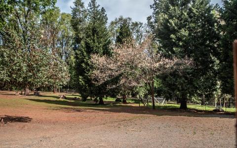5333 Reservoir Rd, Georgetown, CA 95634 photo 33