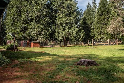 5333 Reservoir Rd, Georgetown, CA 95634 photo 31