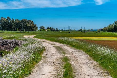 9060 E Levee Rd, Elverta, CA 95626 photo 6